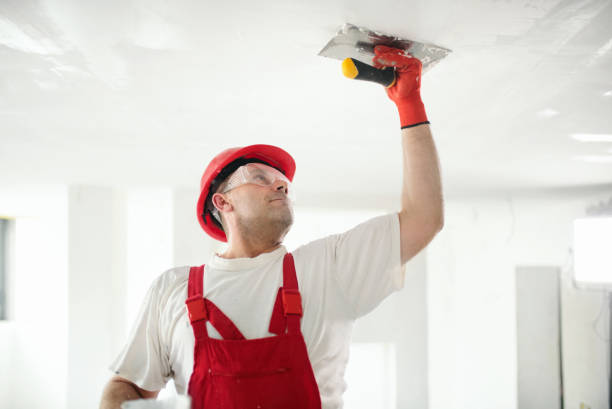 Best Airborne Mold Testing  in Humble, TX